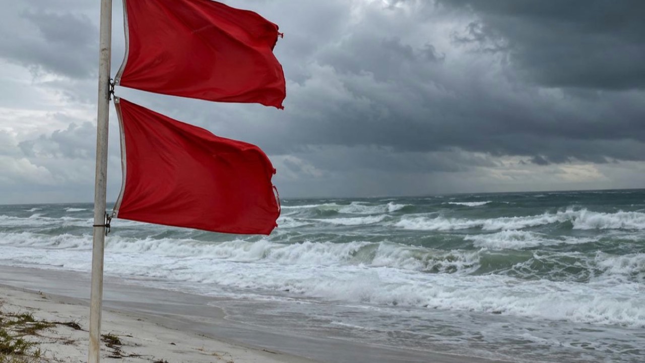 A Florida beach warning flag sign showing the color-coded hazard system, with a yellow medium-hazard flag flying above dunes