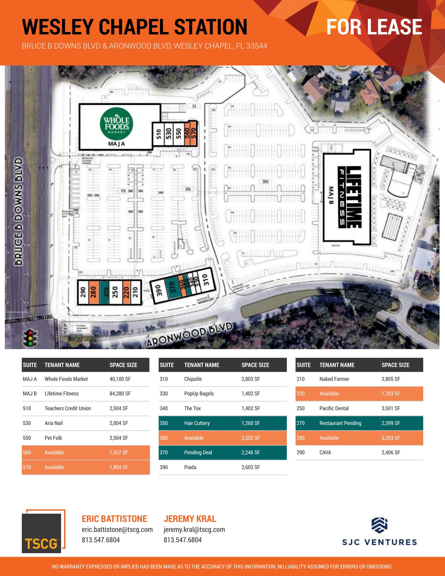 Site plan of Wesley Chapel Station showing the proposed layout, with Whole Foods Market and Life Time fitness as anchor suites plus smaller retail and restaurant spaces